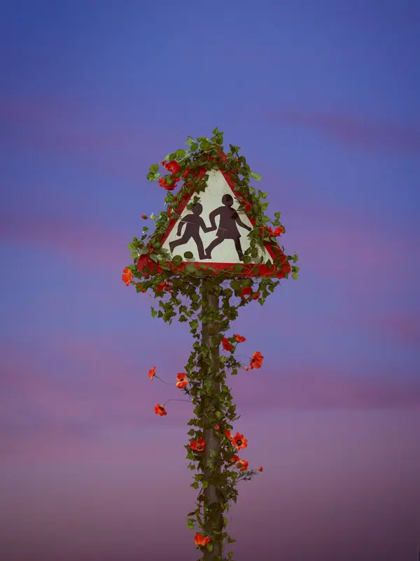 10318 Wilding Shot 5 Simp Copy