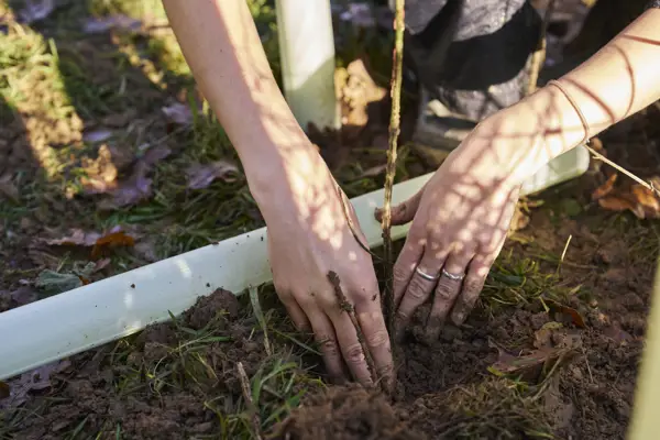 2024 11 28 Wilderlands 0233 Low Res