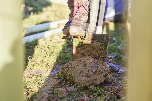 2024 11 28 Wilderlands 0198 Low Res