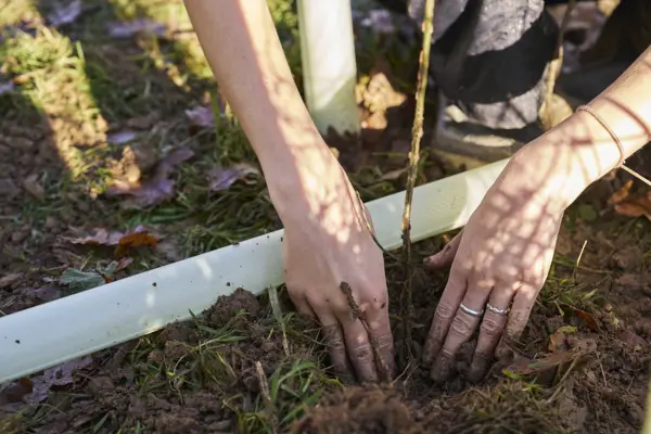 2024 11 28 Wilderlands 0232 Low Res