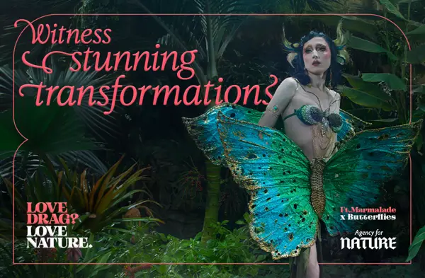 Naturesadragbutterfly