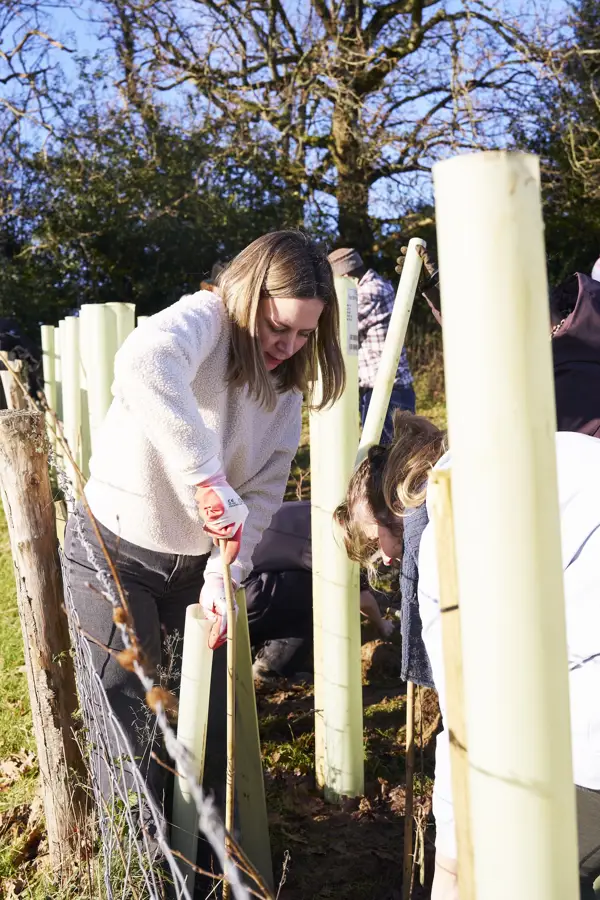 2024 11 28 Wilderlands 0203 Low Res