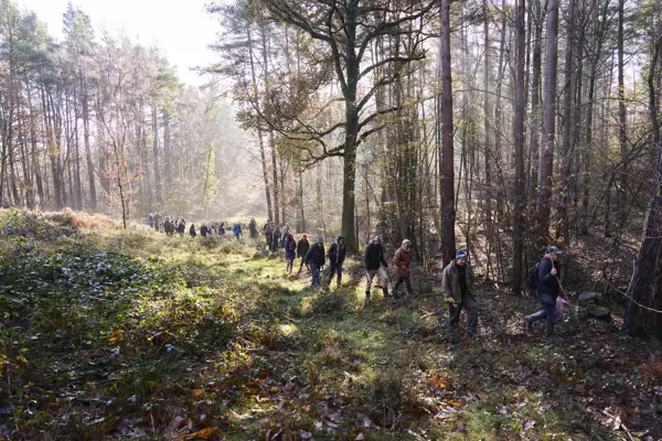 2024 11 28 Wilderlands 0001 Low Res